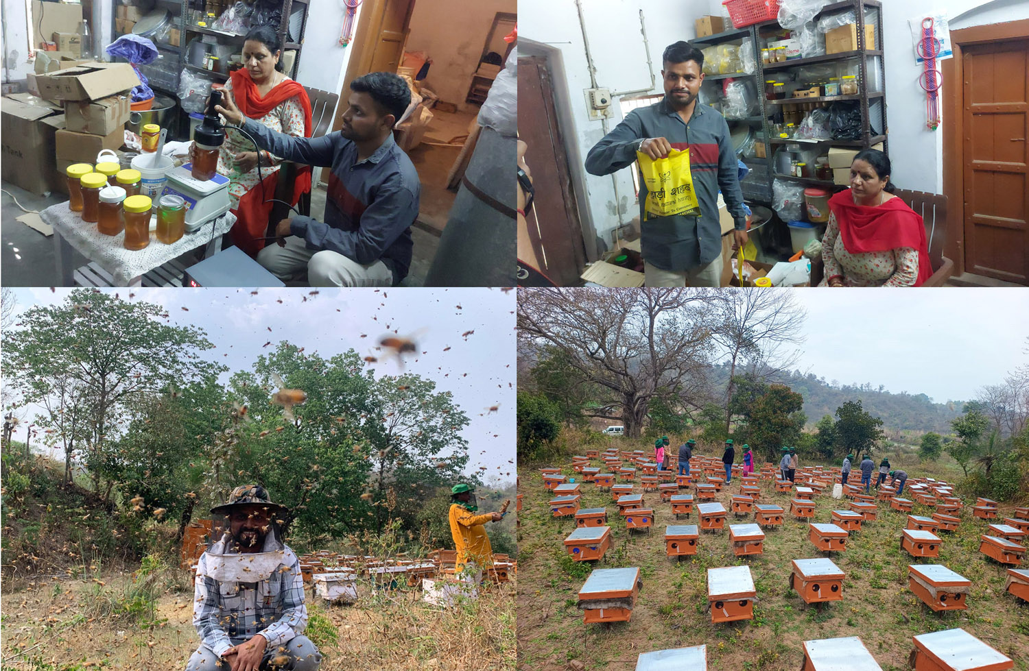 The sweetness of honey in Anubhav Sood's success story.